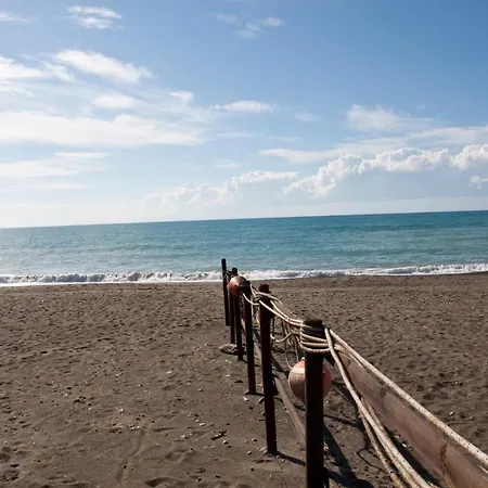 Maremma 1 * Fiorino